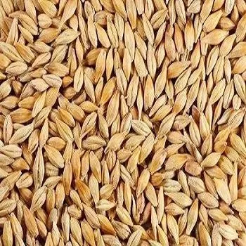 пшеница класса фураж в Симферополе