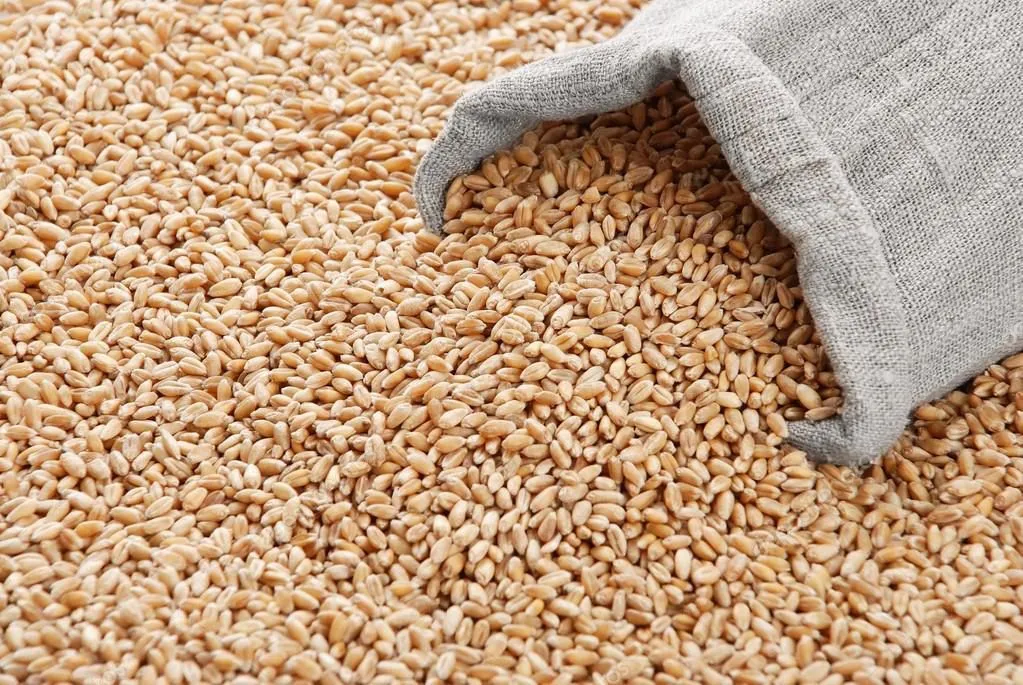 фотография продукта Пшеница 5 класса