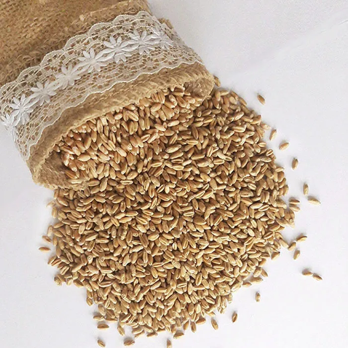 фотография продукта Семена озимой пшеницы Виктория Одесская